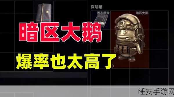 暗区突围，大鹅战术布局全揭秘，刷新位置与实战技巧深度剖析