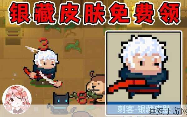 独家揭秘,元气骑士刺客银藏皮肤解锁全攻略,技巧与细节大放送!