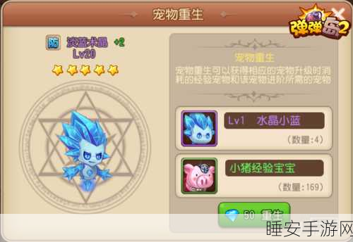 弹弹岛2深度攻略，揭秘防御型宠物实战策略与属性搭配