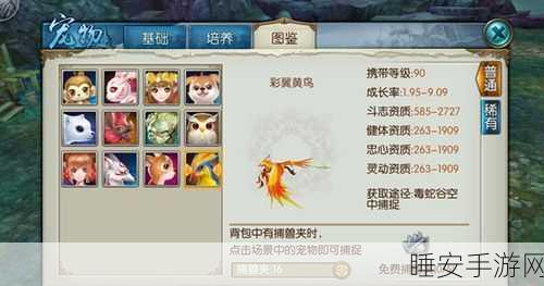 诛仙手游珍稀宠物彩翼黄鸟捕捉全攻略