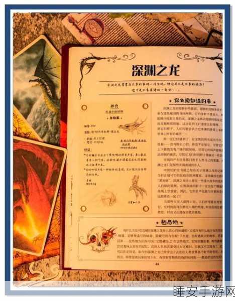 揭秘代号龙征服之旅，全面攻略与神秘世界探索秘籍