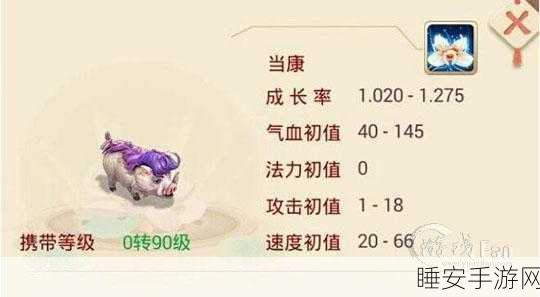 大话西游手游深度攻略，当康角色加点技巧与实战应用