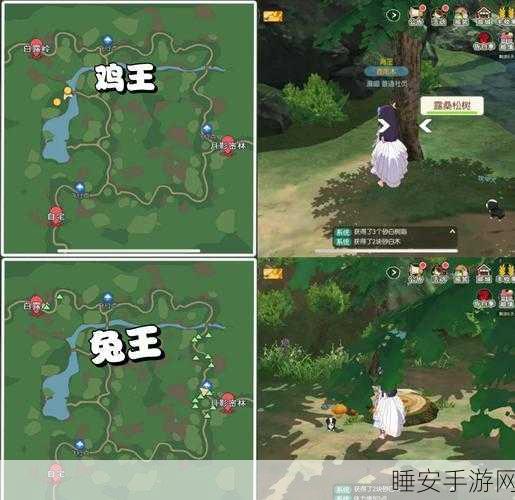 小森生活魔芋丛采集全攻略，揭秘高效采集地点与技巧