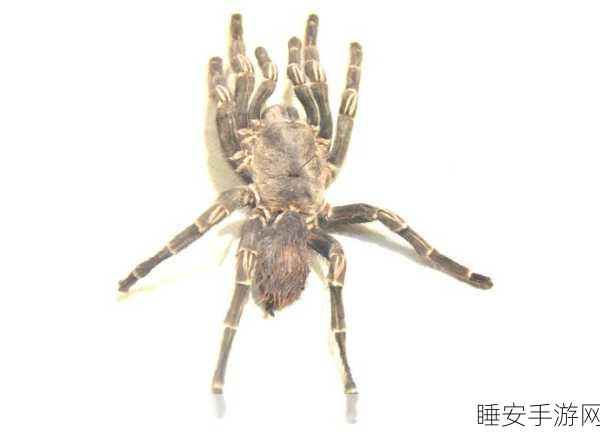 鸟文明角色全解析，顶尖强度排行与实战策略指南，助你称霸竞技场