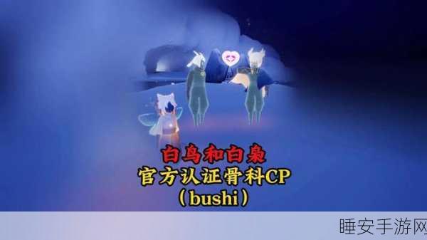 光遇探索,揭秘白鸟与白枭双胞胎的独特魅力