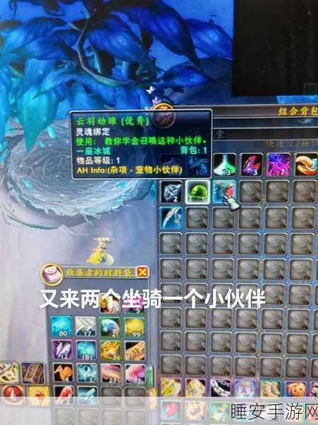 魔兽世界20级快速坐骑指南,LM种族优选哪些?