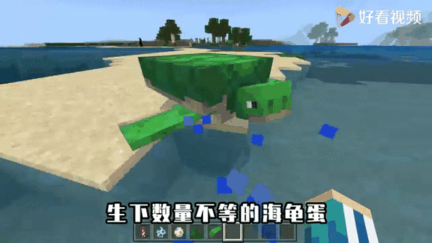 我的世界手机版,揭秘海龟蛋的奇妙用途与隐藏玩法