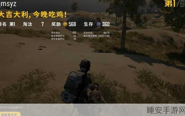 绝地求生单排制胜秘籍,解锁孤独战场,登顶吃鸡王座之路