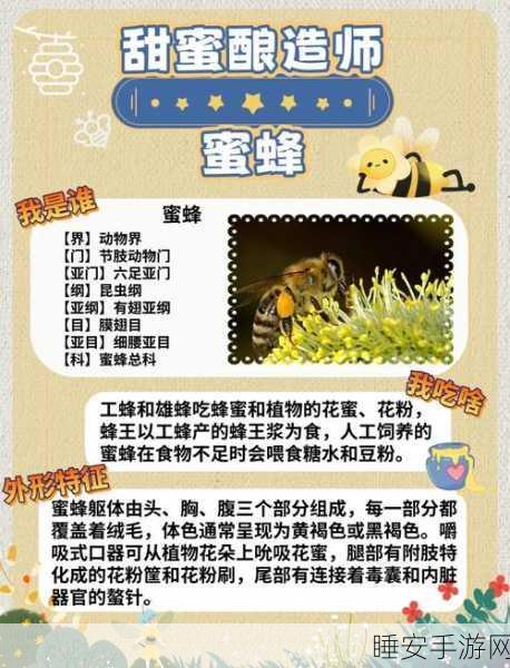 创造与魔法深度攻略，蜜蜂养殖全解析，打造甜蜜产业帝国