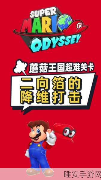 解锁3DS新超级马里奥2蘑菇关的秘籍大公开!