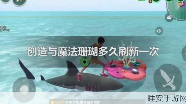 神秘海域大揭秘,创造与魔法珊瑚位置争夺战全面解析