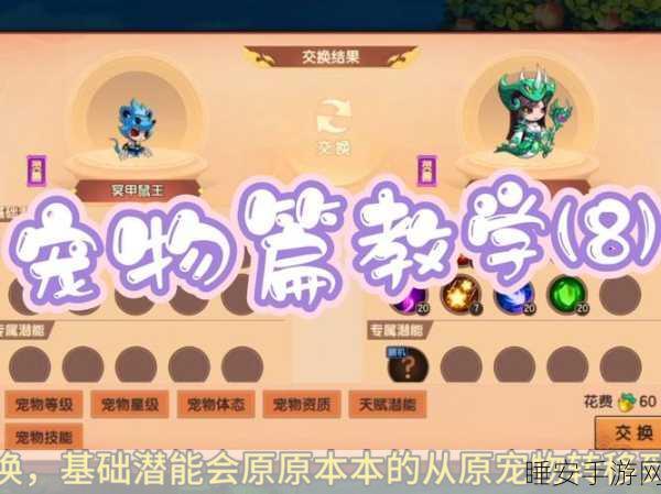 造梦无双宠物潜能提升攻略，解锁空位，打造最强萌宠战队！