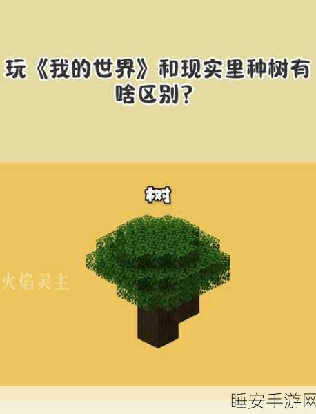 我的世界骨粉种树无效？揭秘种植技巧与常见误区