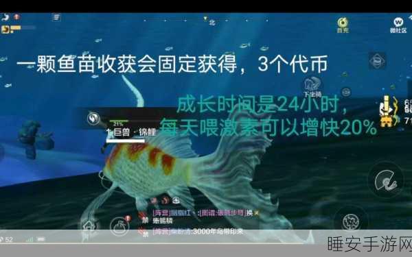 妄想山海，揭秘锦鲤坐骑的珍稀获取途径