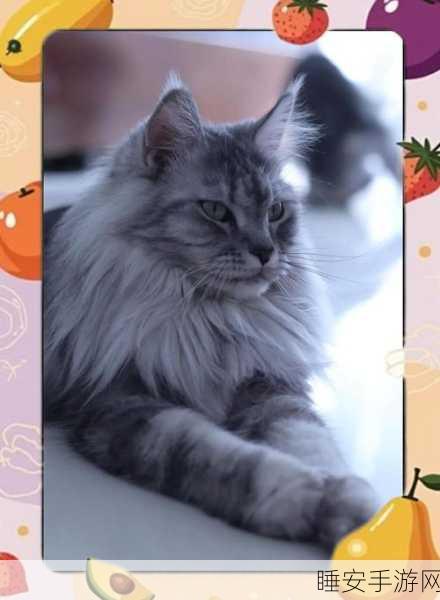 捉妖猫基因大揭秘,解锁嘴巴配方全攻略