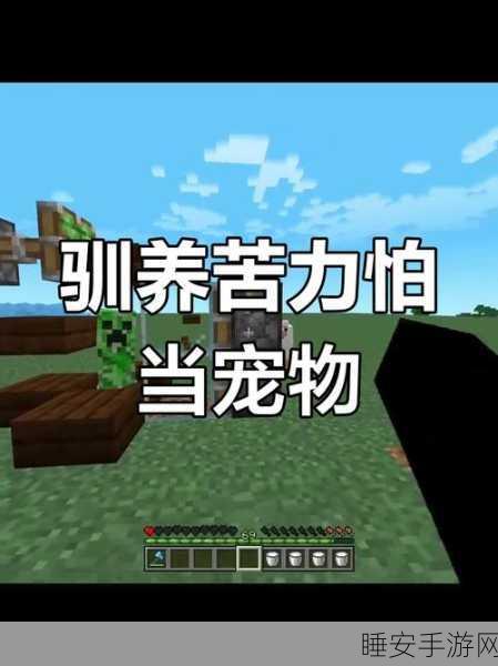 揭秘我的世界，掌握神秘技巧，让苦力怕安静如初！