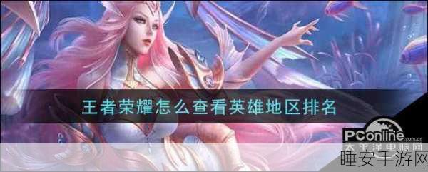 王者荣耀区域排行全解析，如何查看并提升你的排名？