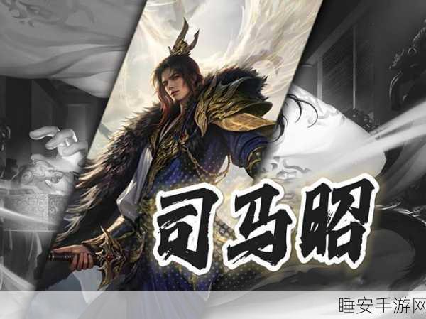 精通三国杀，司马昭必胜攻略大揭秘，实战技巧与策略深度剖析