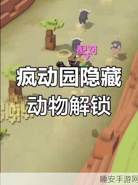 探秘疯狂动物园丛林，珍稀动物大揭秘