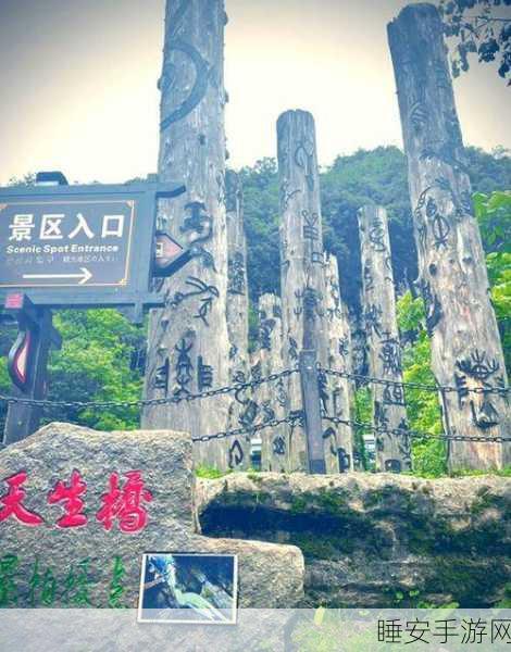 探秘创造与魔法，海底火山奇观位置全解析及探险攻略