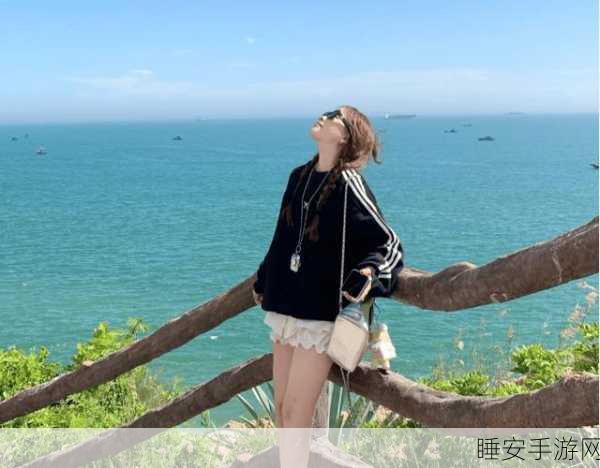 桃源梦境启幕,烟花拾梦活动深度揭秘与参赛攻略