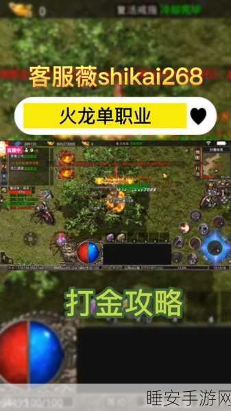 狼魂高爆火龙游戏下载_玩法非常爽快的玛法传奇游戏