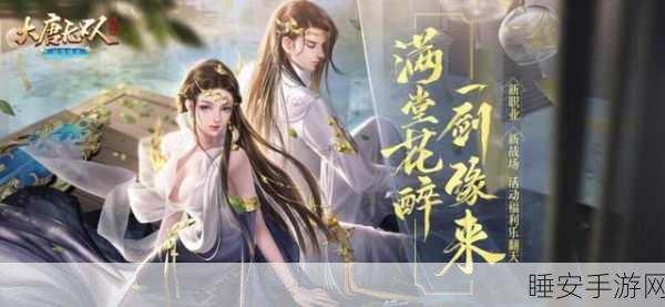 深度解析,大唐无双手游小资玩家角色优选与养成攻略