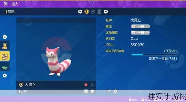 宝可梦大探险，揭秘宾果奖励机制，踏上奇妙寻宝之旅