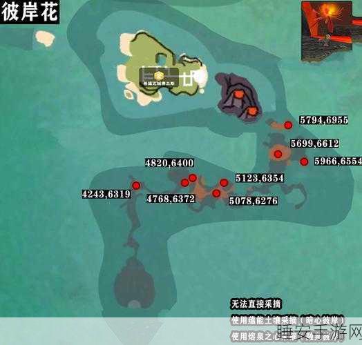 手游探索揭秘，创造与魔法熔泉之心彼岸花采摘攻略