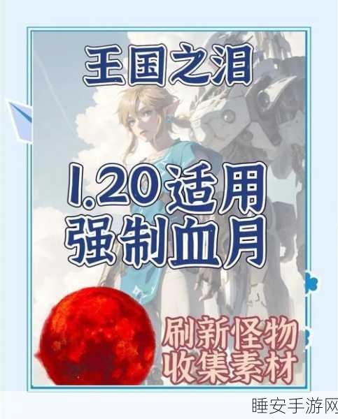 FGO手游攻略,揭秘血之泪石高效刷取地点与技巧