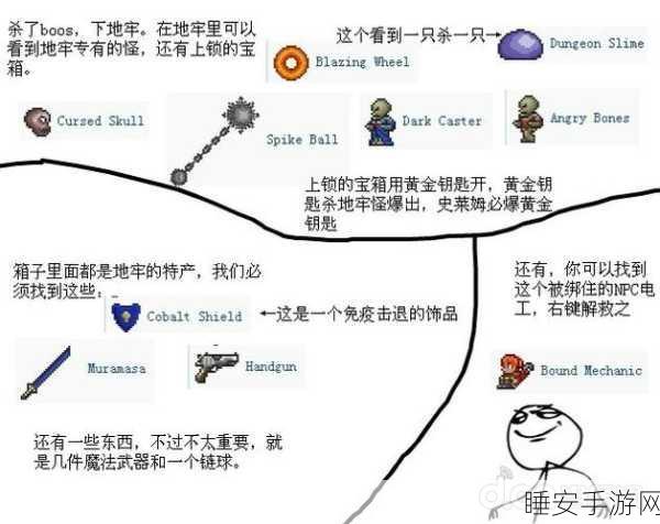 泰拉瑞亚深度攻略，地牢探险宝典，揭秘无尽宝藏的探险秘籍