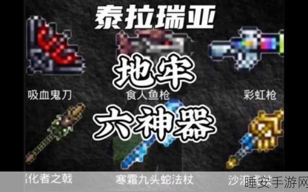 泰拉瑞亚深度攻略,地牢探险宝典,揭秘无尽宝藏的探险秘籍