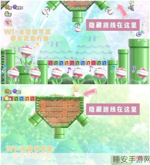超级马里奥世界2,全新冒险,解锁隐藏关卡与道具的终极攻略