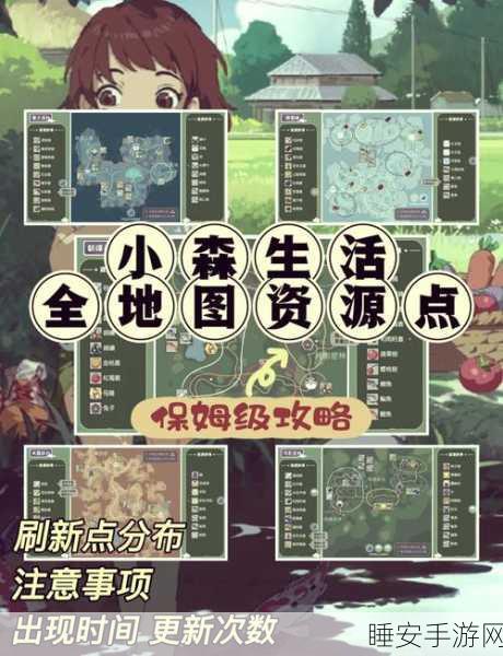 小森生活攻略，解决小森开运守使用难题，助你游戏更顺畅！