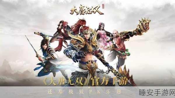 深度揭秘,大唐无双蜀山职业竞技场实战攻略与特色剖析