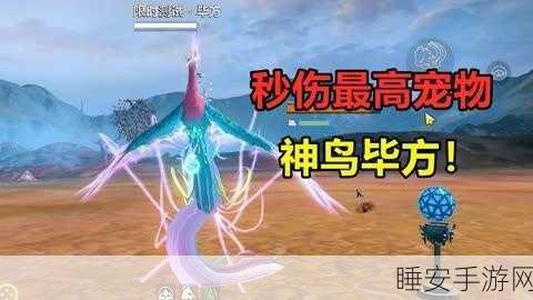 妄想山海，毕方进化全攻略，珍稀材料搜集秘籍，九天翱翔不是梦！