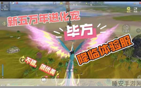 妄想山海,毕方进化全攻略,珍稀材料搜集秘籍,九天翱翔不是梦!