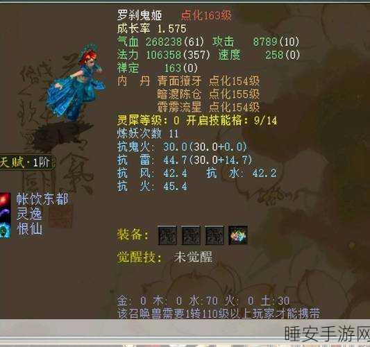 珍品召唤兽养成秘籍，大话西游手游资源管理的艺术深度剖析