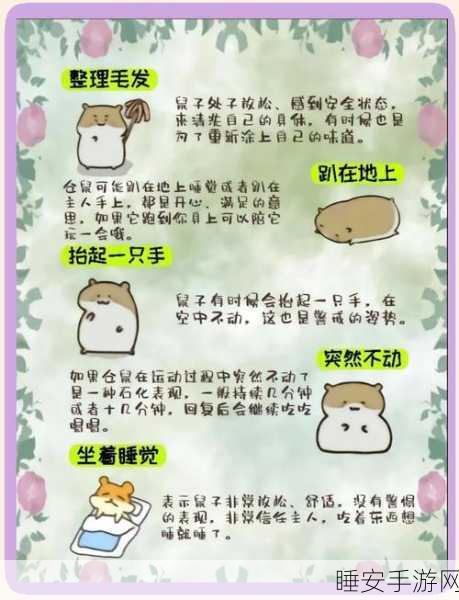 仓鼠萌动,智趣无限,小仓鼠的幸福工厂游戏深度解析