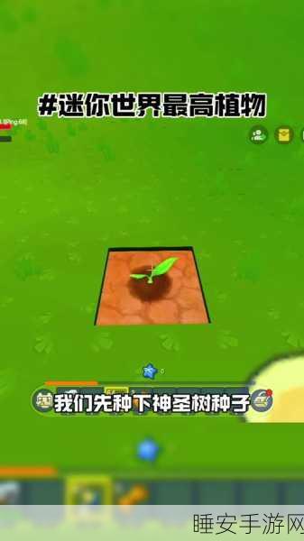 迷你世界探秘,解锁神圣树果实大赛全攻略