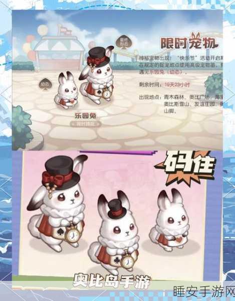 奥比岛手游深度攻略，解锁宠物家园，打造梦幻宠物乐园
