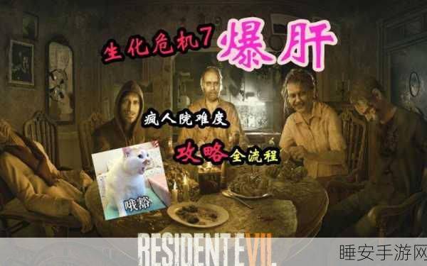 生化危机7画面超限解决方案,全面攻略助你畅玩无阻