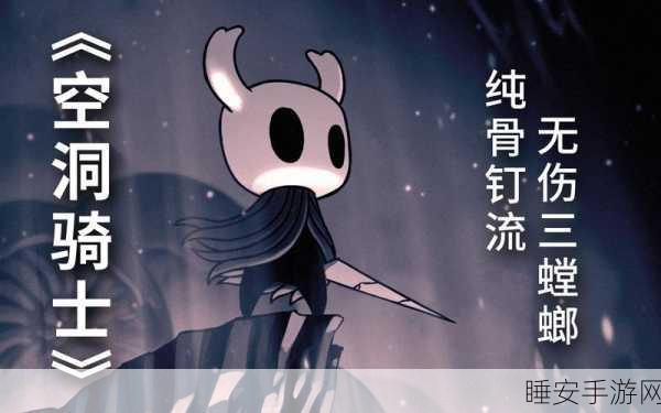 空洞骑士,解锁骨钉进化奥秘,踏上深度探索的升级征途