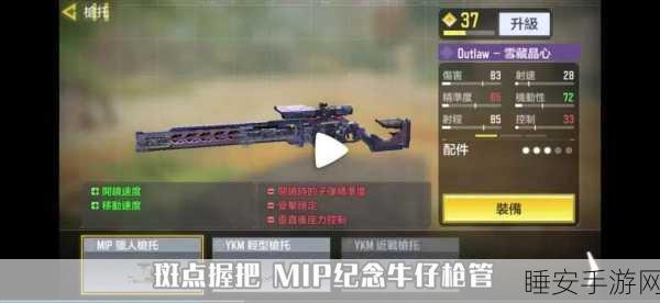 使命召唤手游深度解析，揭秘双持武器枪械大全