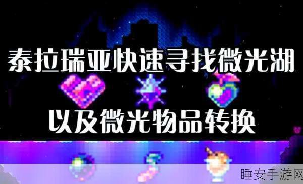 泰拉瑞亚,派对女孩入住秘籍,打造温馨邻里关系的全面指南