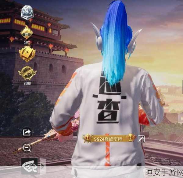 和平精英巡查员晋升秘籍，精准提升巡查效率与等级