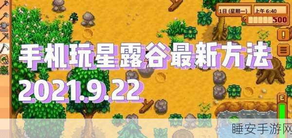 星露谷物语卡顿难题?全面攻略助你畅玩无阻