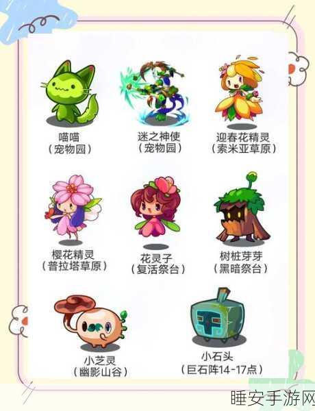 洛克王国，揭秘迷之岛探险全攻略，赢取珍稀宠物与宝藏
