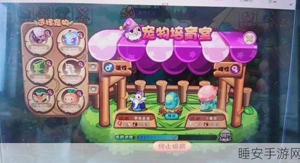 洛克王国,揭秘迷之岛探险全攻略,赢取珍稀宠物与宝藏