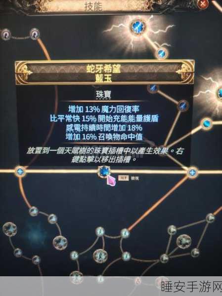 流放之路高手攻略,揭秘灵体增伤技巧,助你战力一飞冲天!